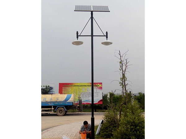 Shanxi Datong Jialun Ecological Agricultural Park 6m Double Light Head Solar Landscape Light