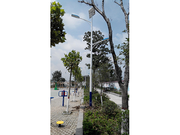 Jining New Rural Cultural Square 10 Double Light Head Solar Street Light