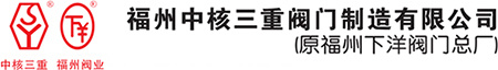 中核三重阀门