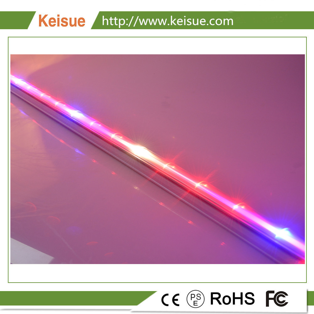 KEISUE LED Growing Light for Hydroponic Planting Farm/Factory.
