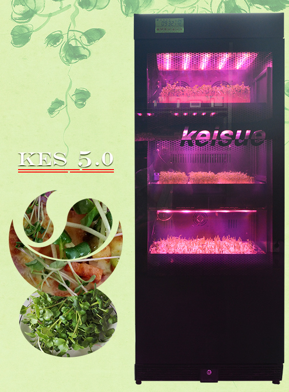 Keisue Household Vertical Farm KES5.0 for Growing Microgreens.