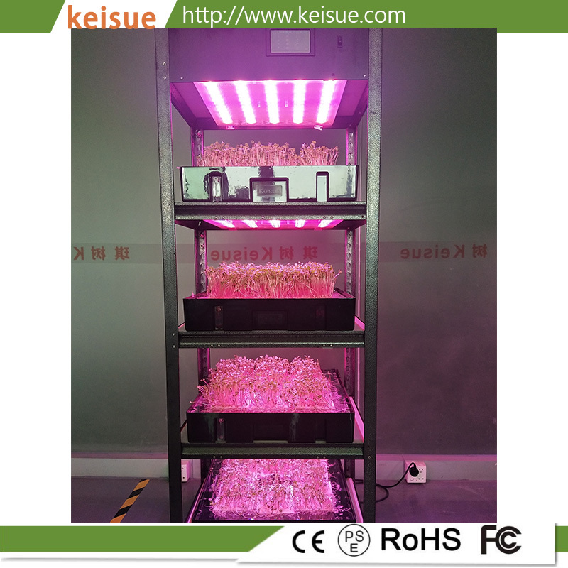 Keisue Hydroponic Vertical Farm KES10.0 for Growing Microgreens.