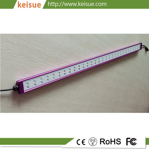 Keisue Dimmable Hydroponic Planting LED Grow Light 60W For Vertical Farm/Greenhouse/Plants Factory
