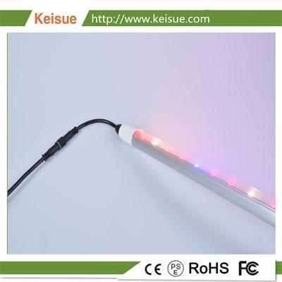 Keisue 水培照明灯，防水等级IP64的LED植物灯。