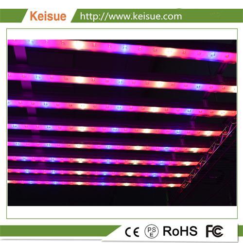 Keisue铝制照明灯架 KES-GL-025，应用于种植工厂，温室，室内种植