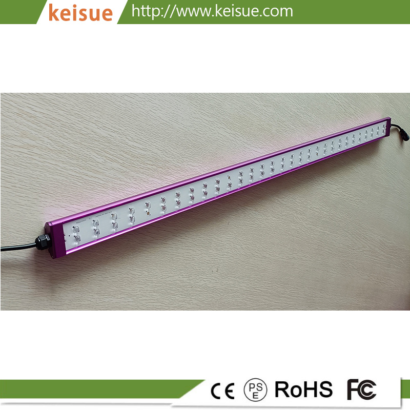 Keisue可调光LED水培植物生长灯 60W，用于垂直农场、大棚温室、植物工厂、室内种植等。