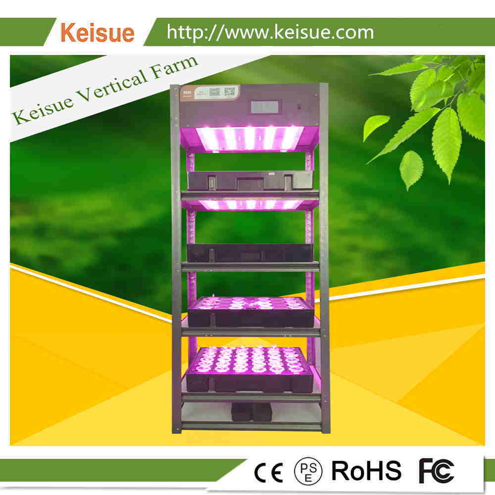 Keisue专业家庭垂直水培农场KES7.0