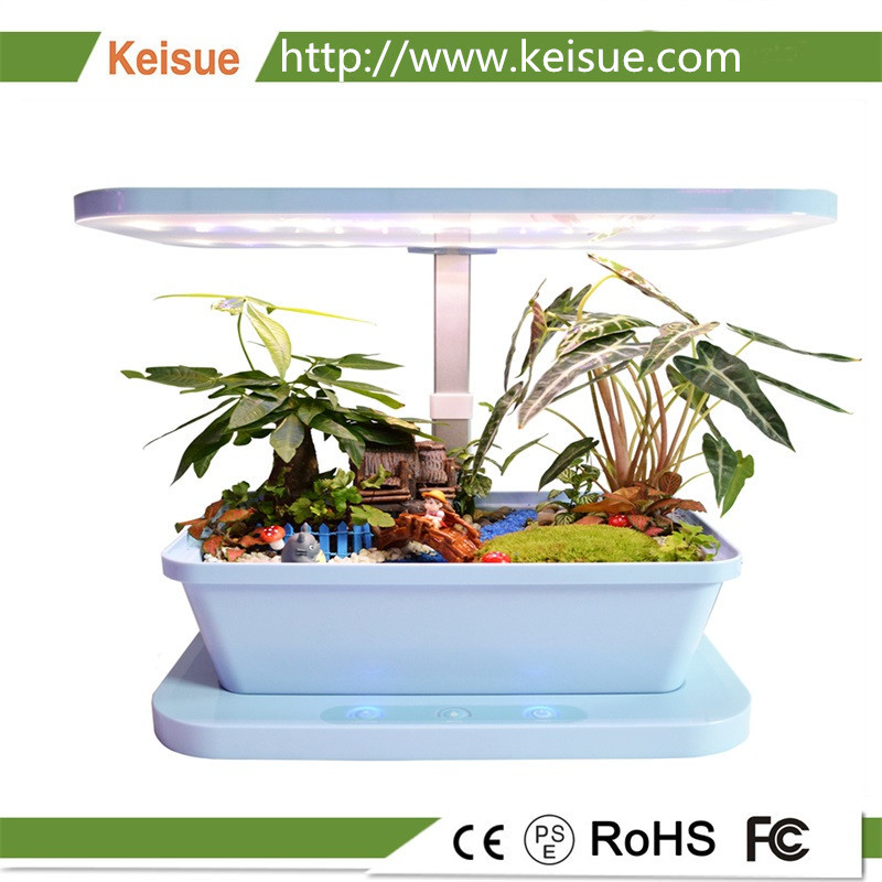 琪树家用水培系统  蓝色 KES3.0， 集水培、土培于一体的智能种菜机