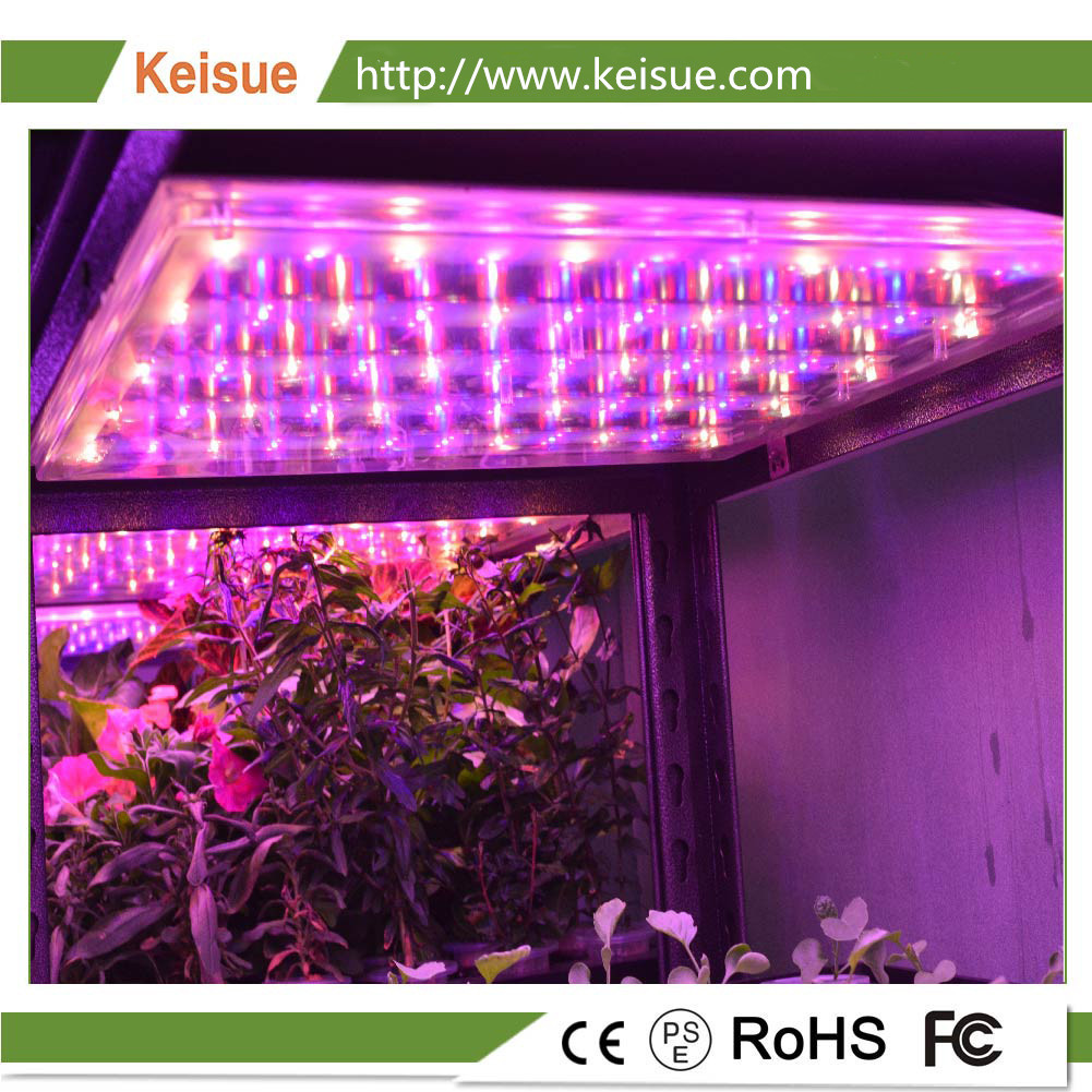 Keisue全光谱LED植物生长灯，防水等级IP65