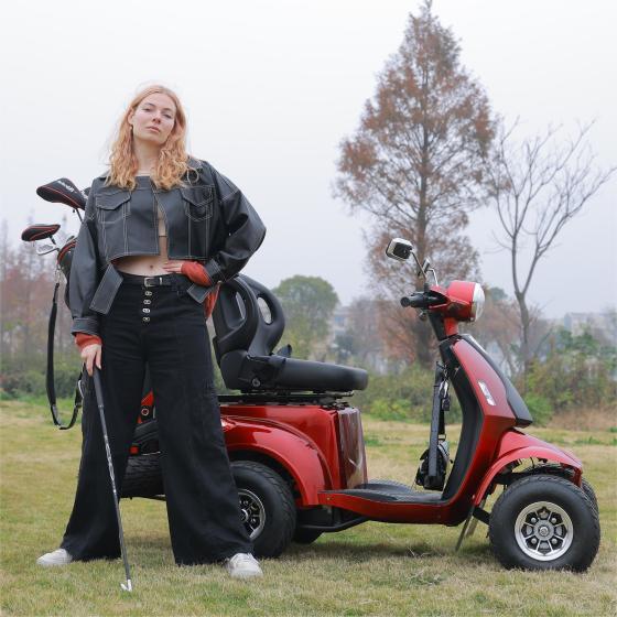 Senior 4-Wheel Scooter On Sales-ZENGHUI AUTO