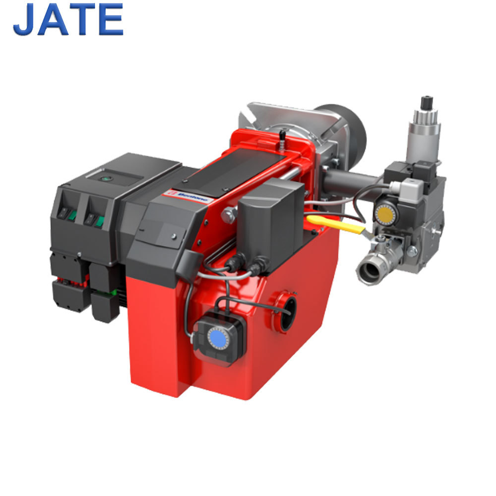 Bentone BG650-2 burners