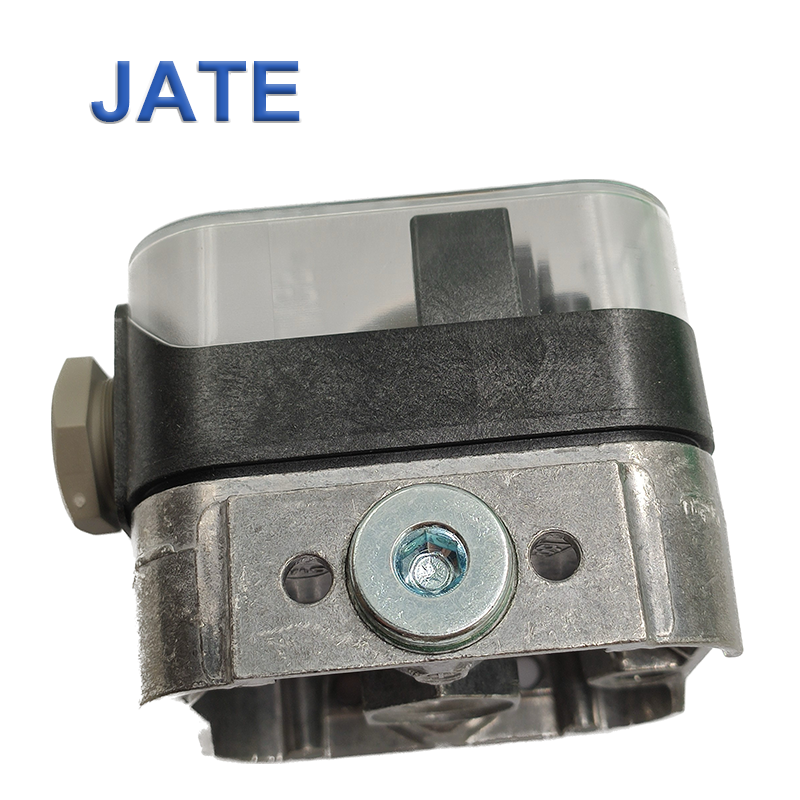 Dungs GGW10A4 Pressure Switch