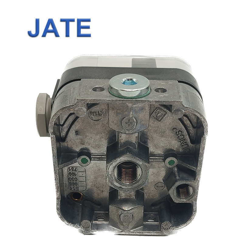 Dungs GGW50A4 Pressure Switch