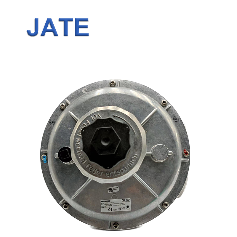 Dungs FRNG 5040 Pressure Reduce Valve