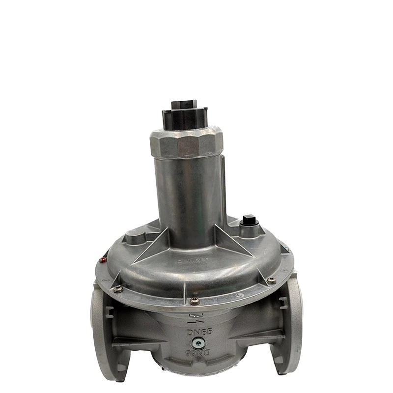 Dungs FRNG 5065 Pressure Reduce Valve