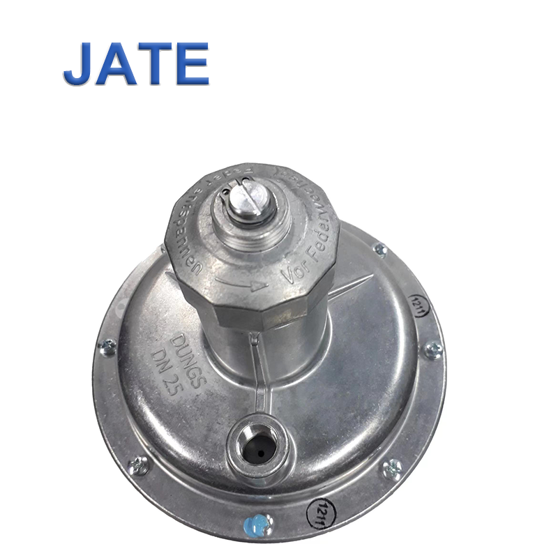 Dungs FRSBV 1010 Pressure Reduce Valve