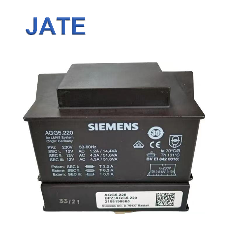 Siemens AGG5.220 Flame Detector