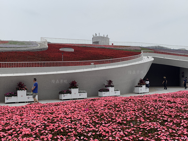 第十届中国花博会—花箱项目