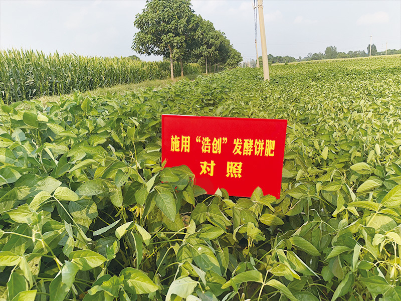 中牟县农业生产社会化服务项目