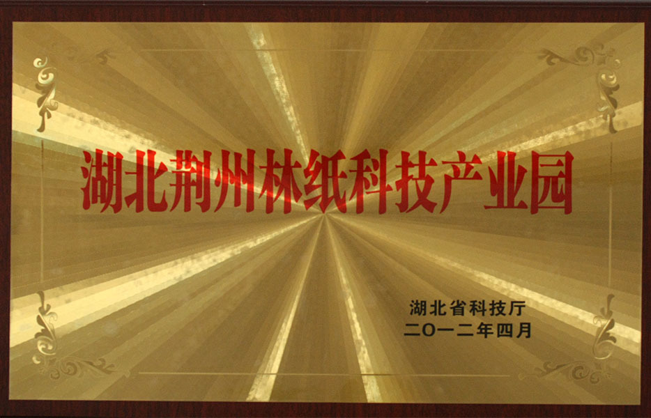 湖北荆州林纸科技产业园