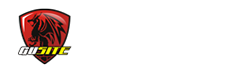 台州古斯特