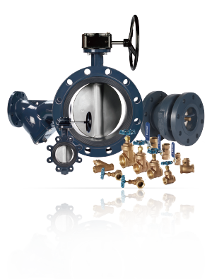 Bronze & Iron Valves
