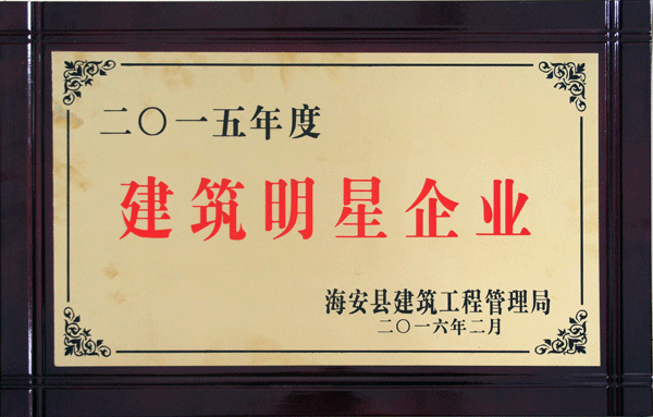 信拓集團(tuán)榮獲全縣建筑業(yè)明星企業(yè)等榮譽(yù)
