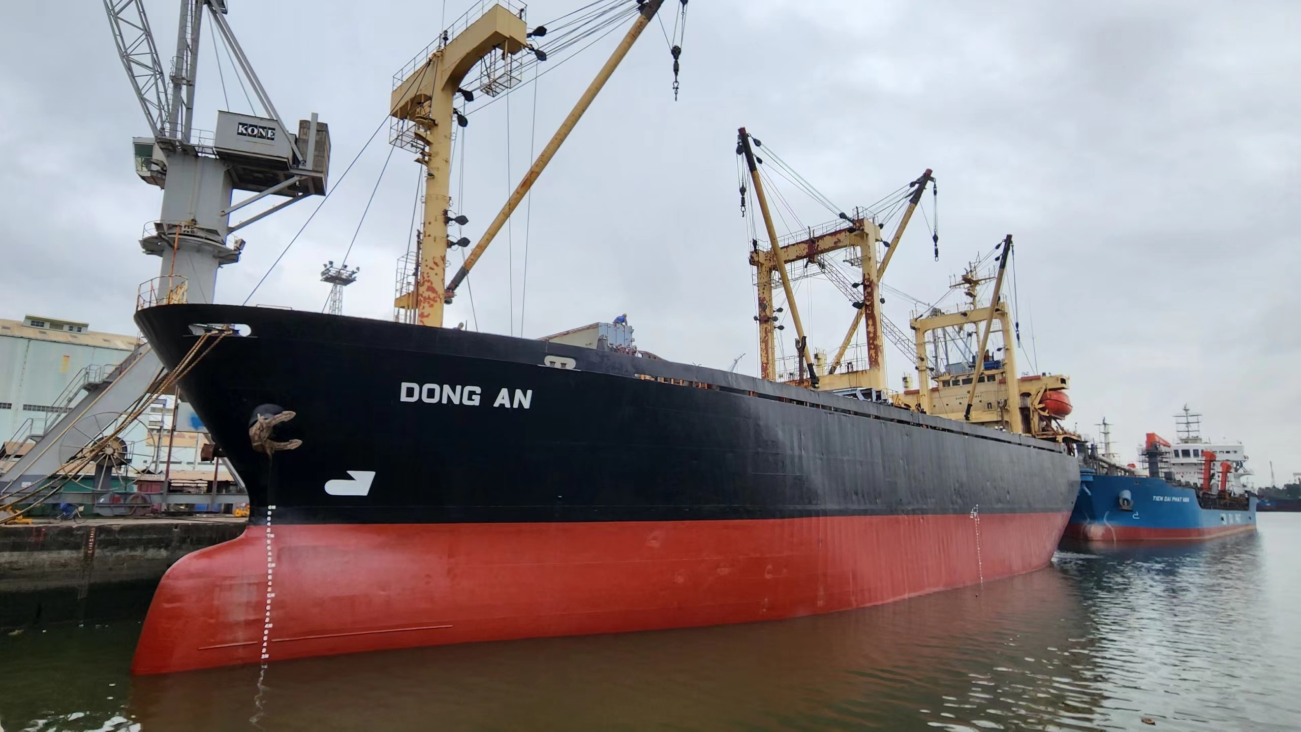 MV DONG MINH