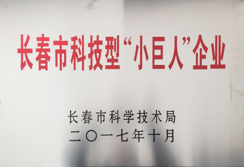 長春市科技型“小巨人”企業(yè)