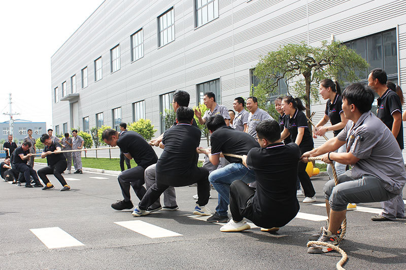 Team Style