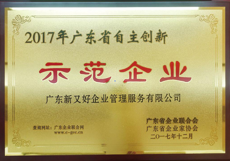 2017年广东省自主创新示范企业