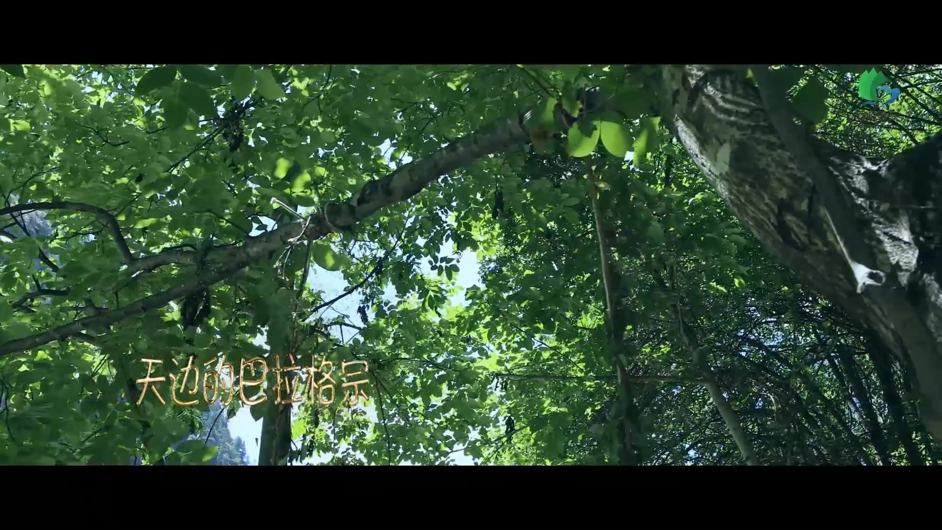 天边的巴拉格宗 1月3日.mp4