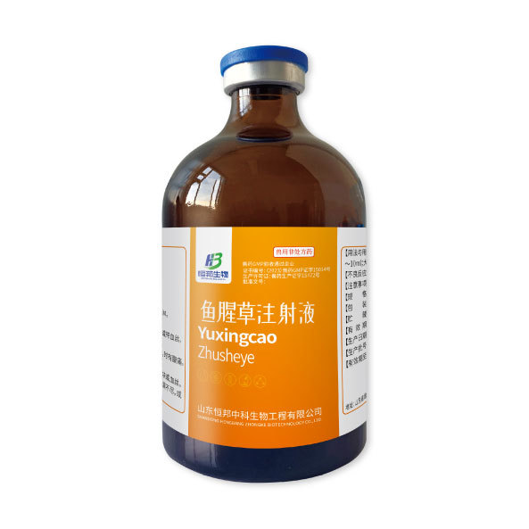 魚腥草注射液