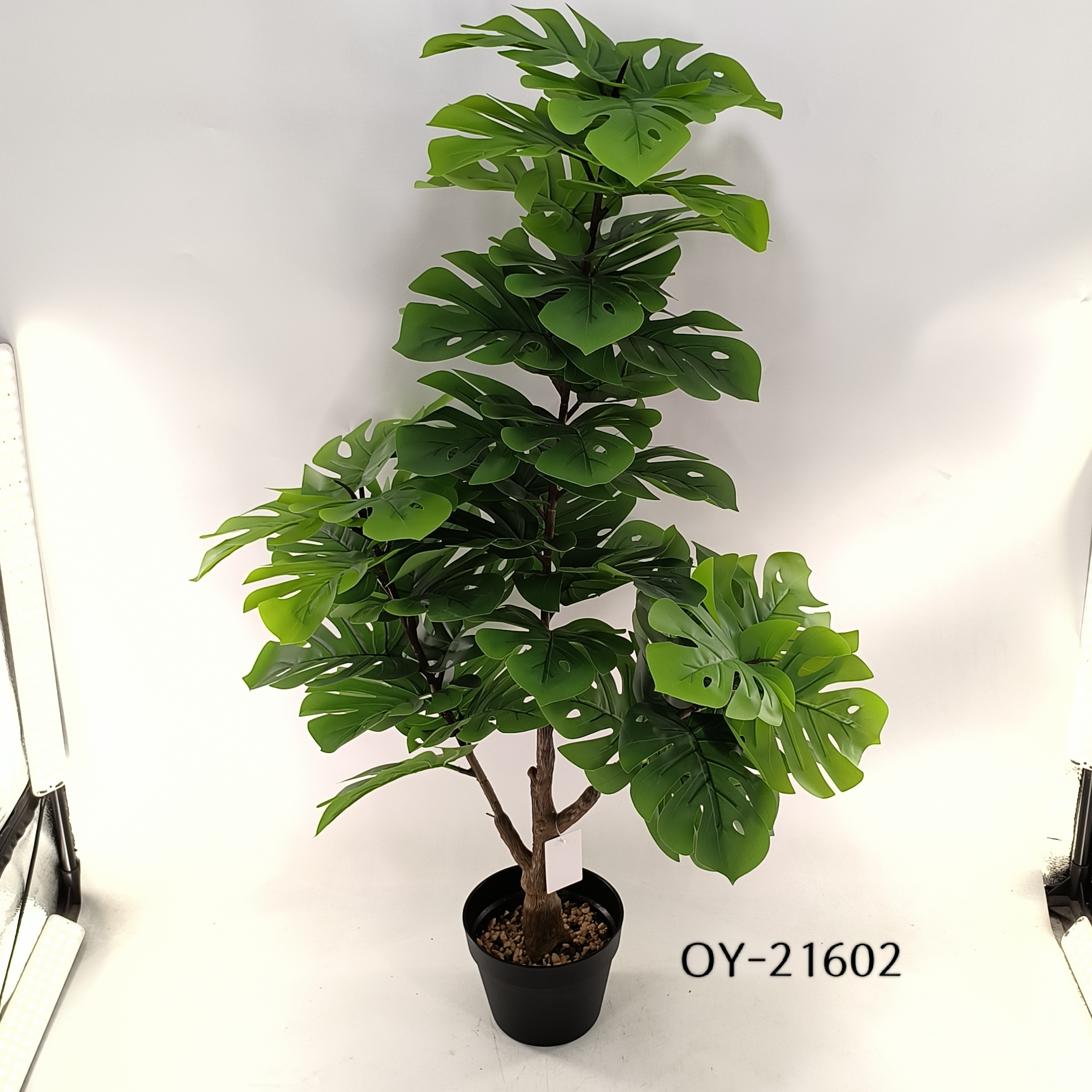 OY-21602