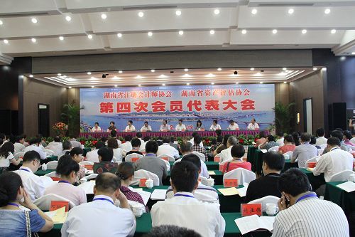 湖南省注册会计师协会