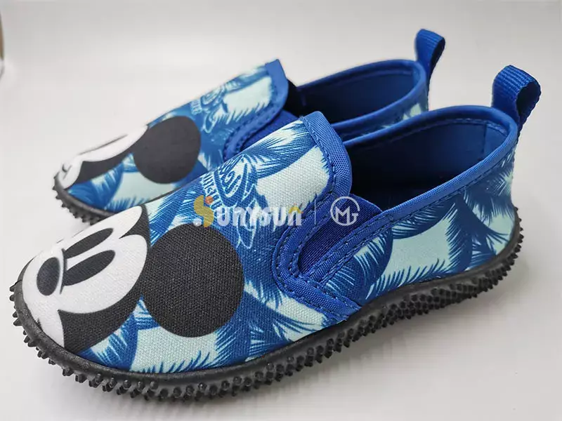 Aqua shoes