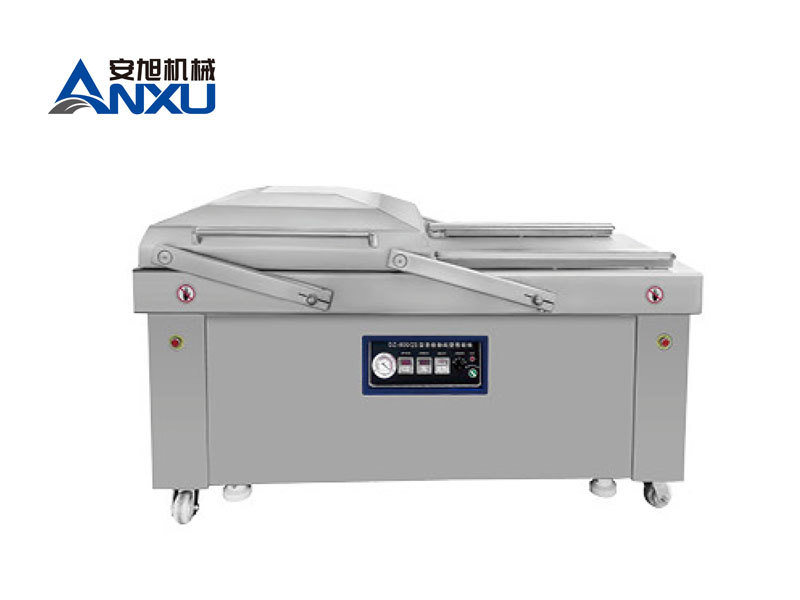 DZ800/2S automatic vacuum packaging machine