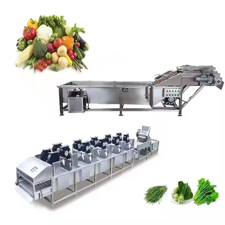 fruit and vegetable processing machinery washing machine drying machine