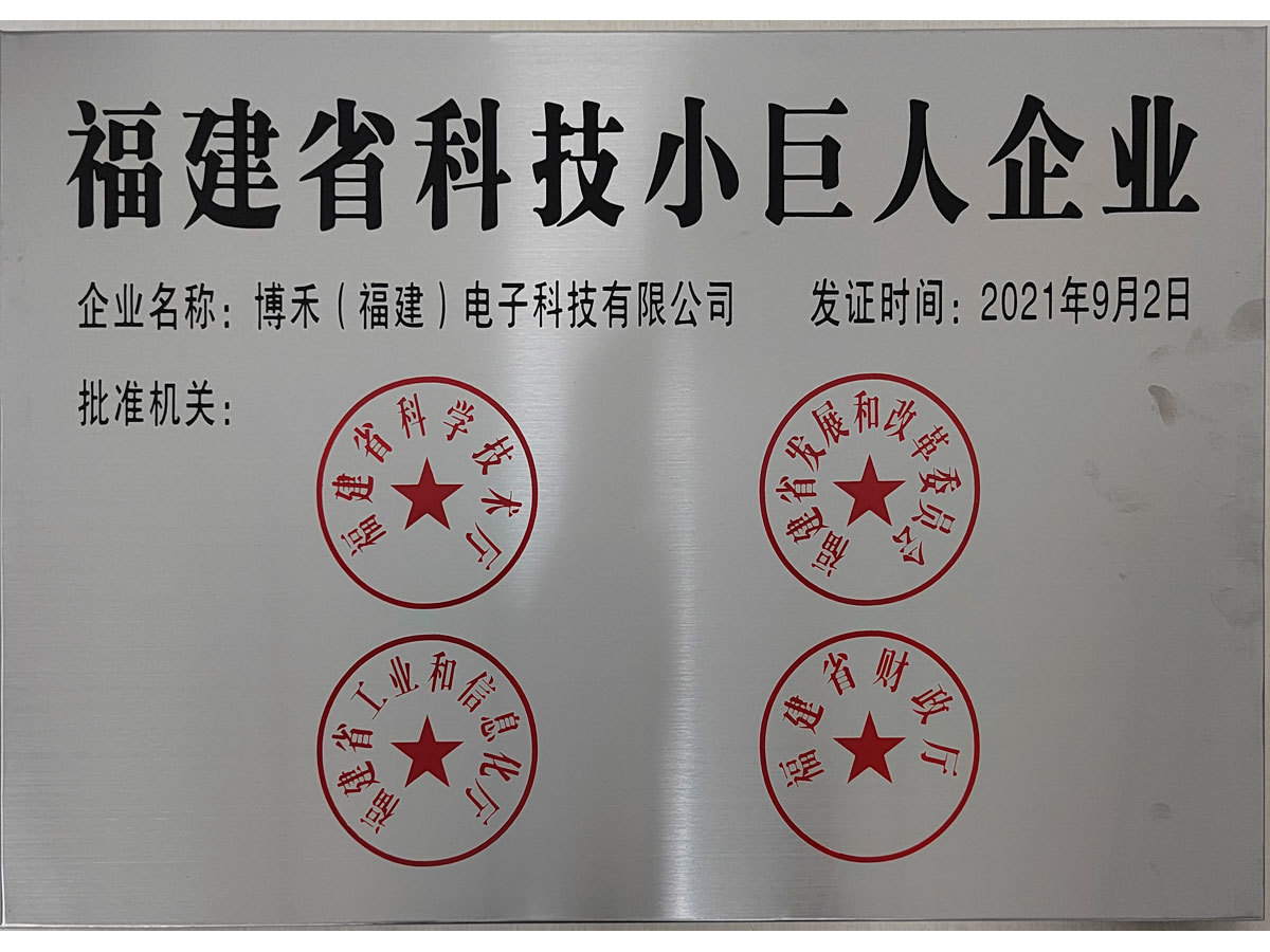 Small Giant Technical Enterprise of Fujian Province