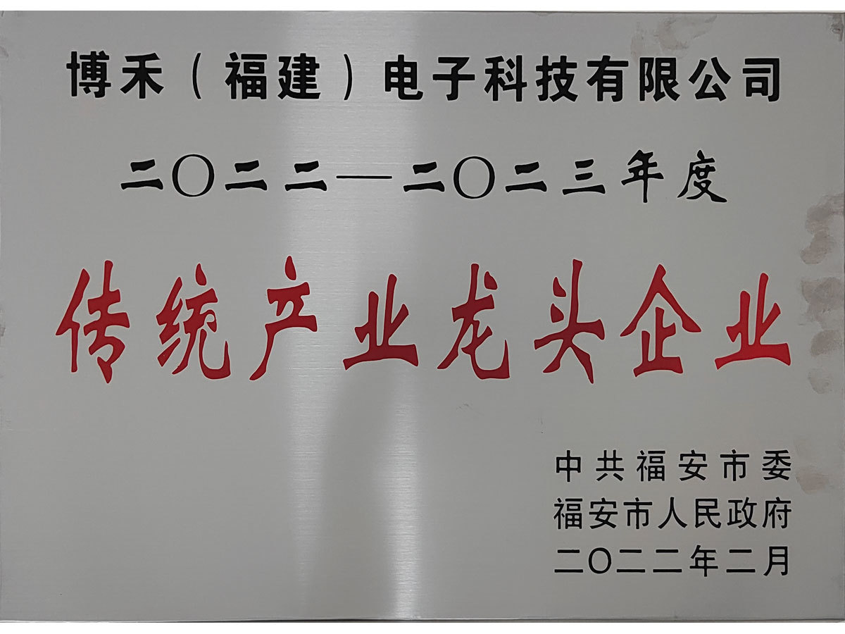 Leading Enterprise of Traditional Industries in Fu'an City