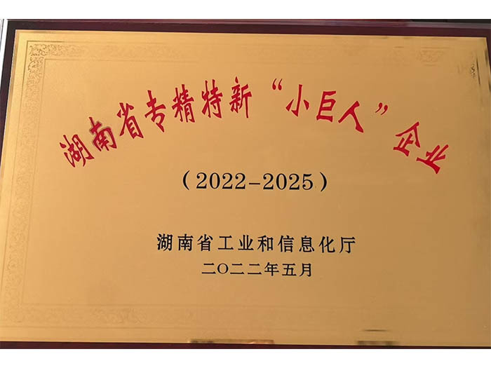專精特新“小巨人”企業(yè) (2022-2025）