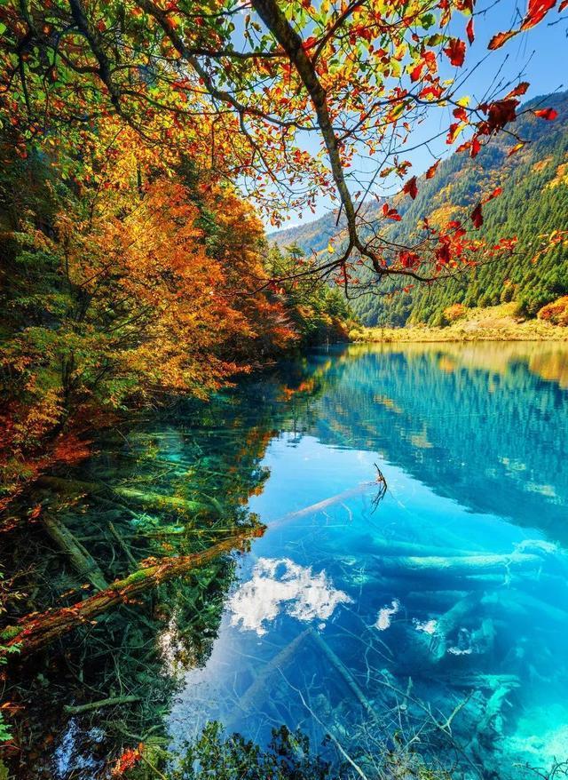 行走万水千山 共绘美丽中国