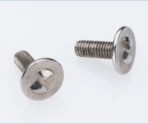 Tamperproof Safety Screw, Nickel Plated  不卸防盗螺丝 装上卸不下来的螺丝