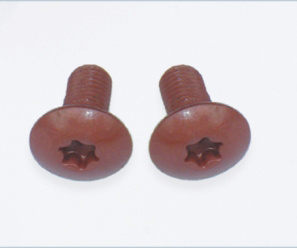 Torx Screw