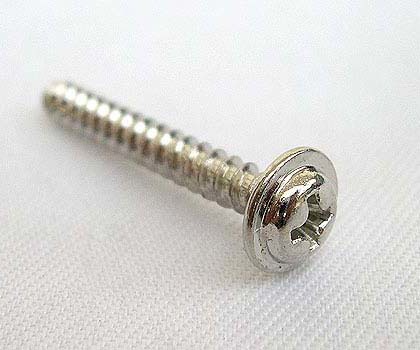 Phillps Washer Head Screw