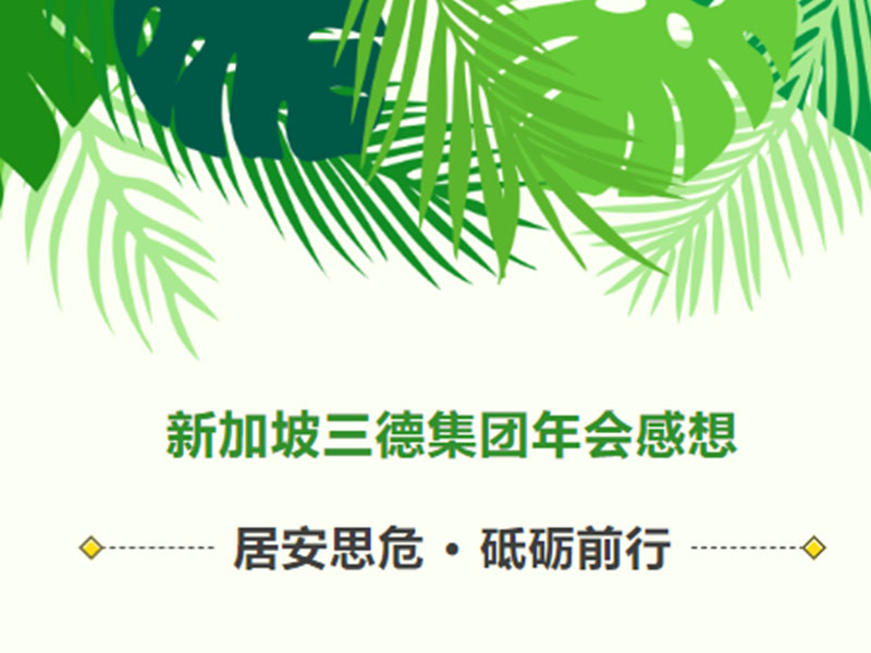 2023年 | 新加坡三德集團年會感想（三）