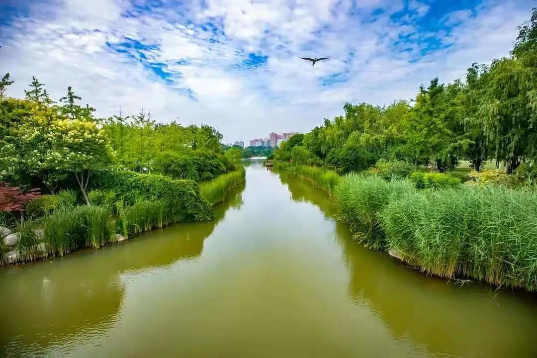 六一儿童节丨“神笔小马良”绘出最美唐宫殿