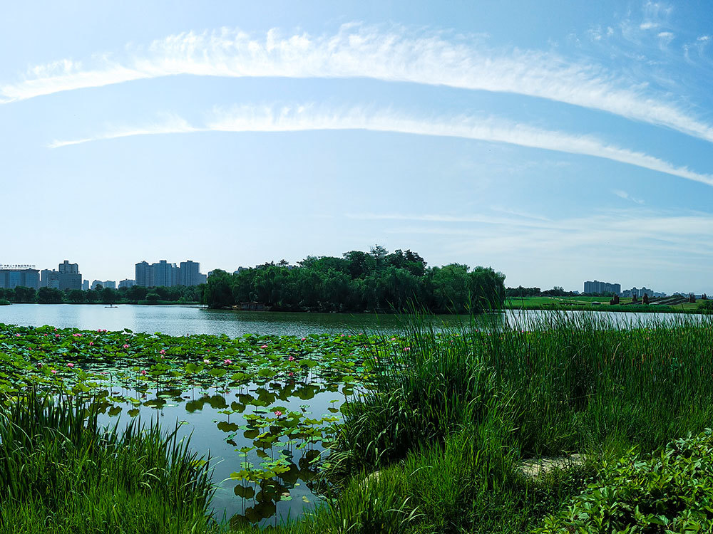 夏の大明宮