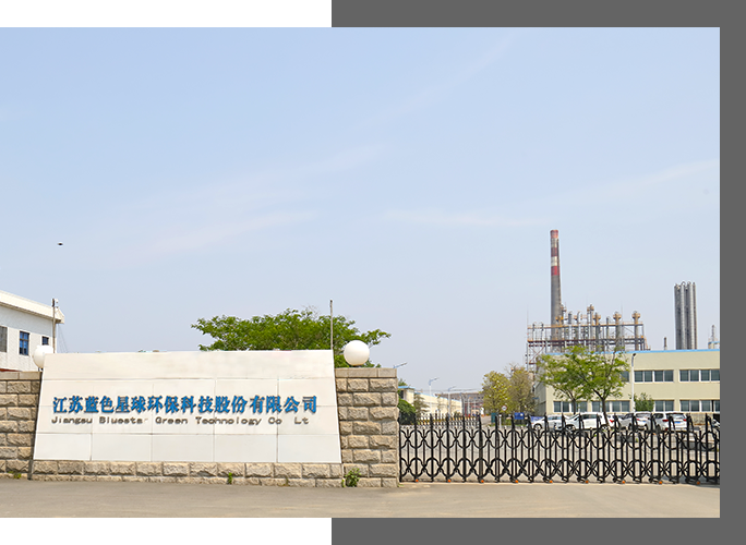 Jiangsu Bluestar Green Technology Co., Ltd  