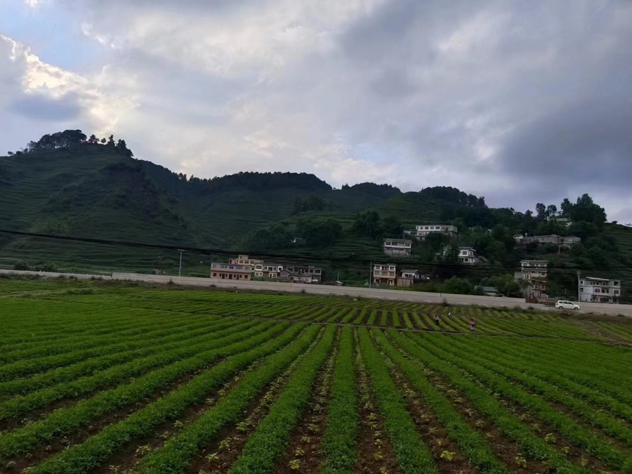 圖片名稱